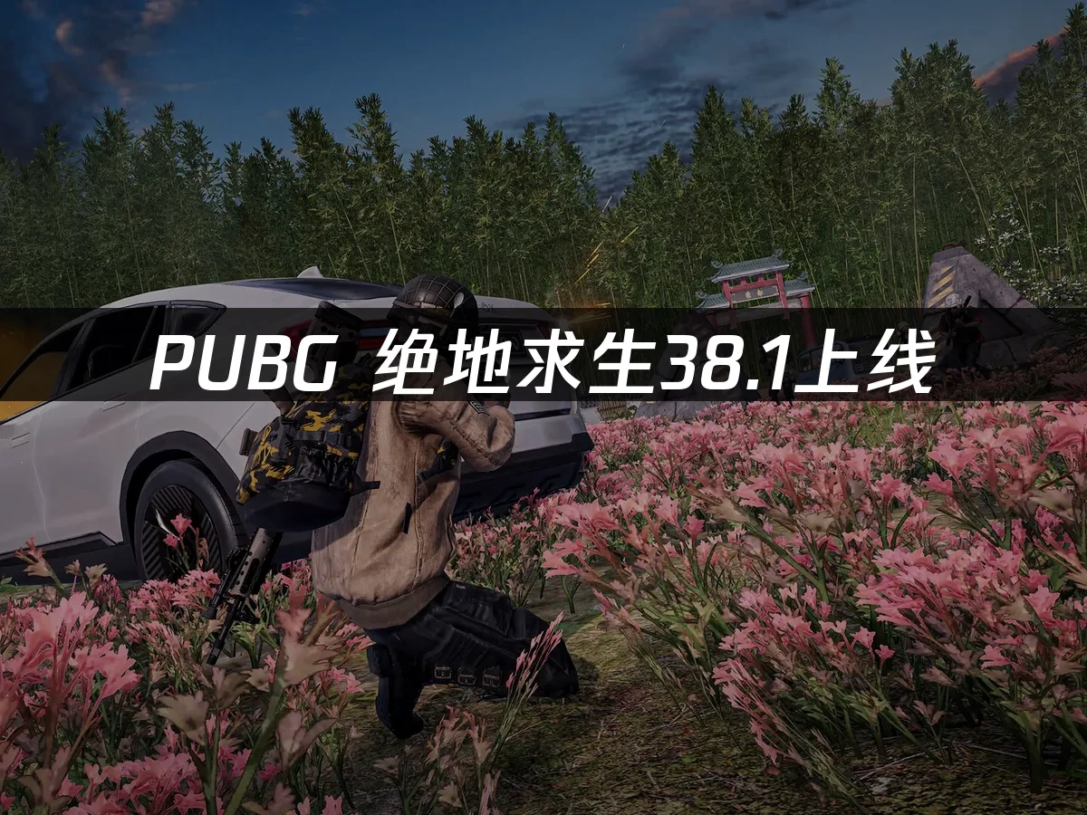 PUBG 封面图