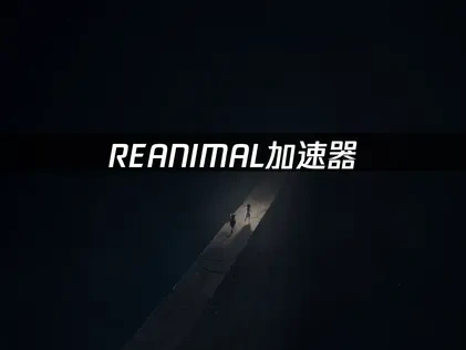REANIMAL加速器：畅玩恐怖冒险新体验！