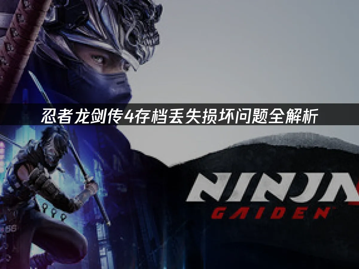 忍者龙剑传4游戏封面