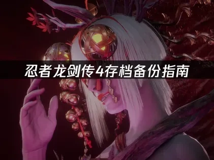 忍者龙剑传4如何存档备份？