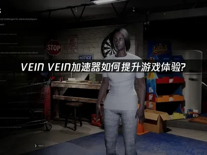 VEIN加速器如何提升游戏体验？