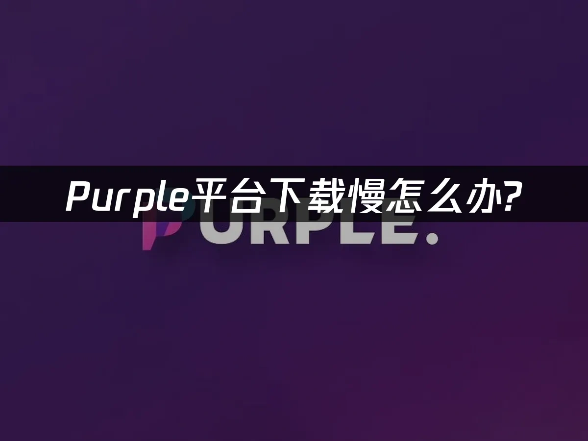 Purple平台PC端封面图
