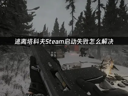 逃离塔科夫Steam启动失败修复指南：原因分析与优化方案！