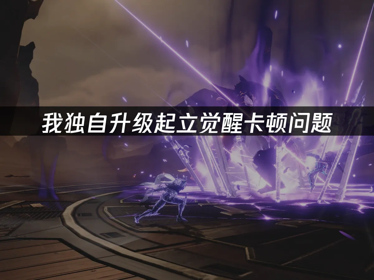 我独自升级起立觉醒 封面图