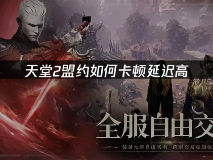 天堂2盟約加速器解決卡頓延遲問題！