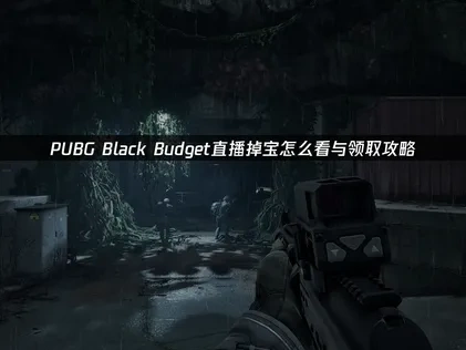 PUBG Black Budget绝地求生黑域撤离直播掉宝怎么看？