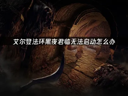 解决艾尔登法环黑夜君临无法启动的高效指南！