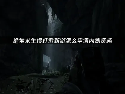 绝地求生搜打撤新游内测资格怎么申请全攻略与优化建议！