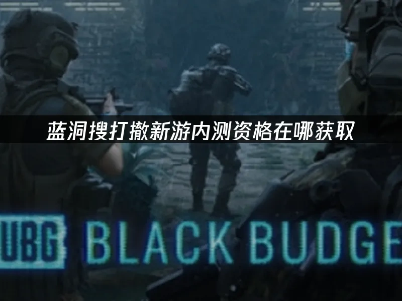 蓝洞搜打撤新游 封面图