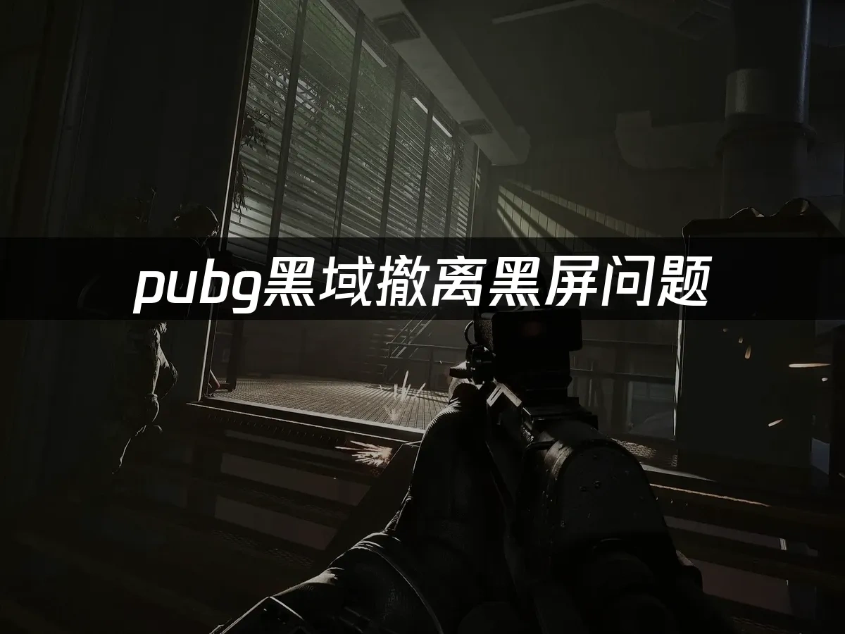 pubg黑域撤离 封面图