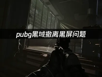 pubg黑域撤离黑屏故障排除与优化指南！