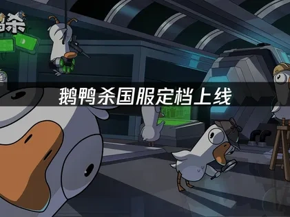 鹅鸭杀国服定档上线！如何解决网络延迟问题？