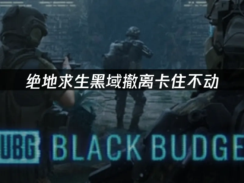 绝地求生黑域撤离 封面图