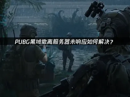 PUBG黑域撤离服务器未响应原因与高效解决方案全解析！