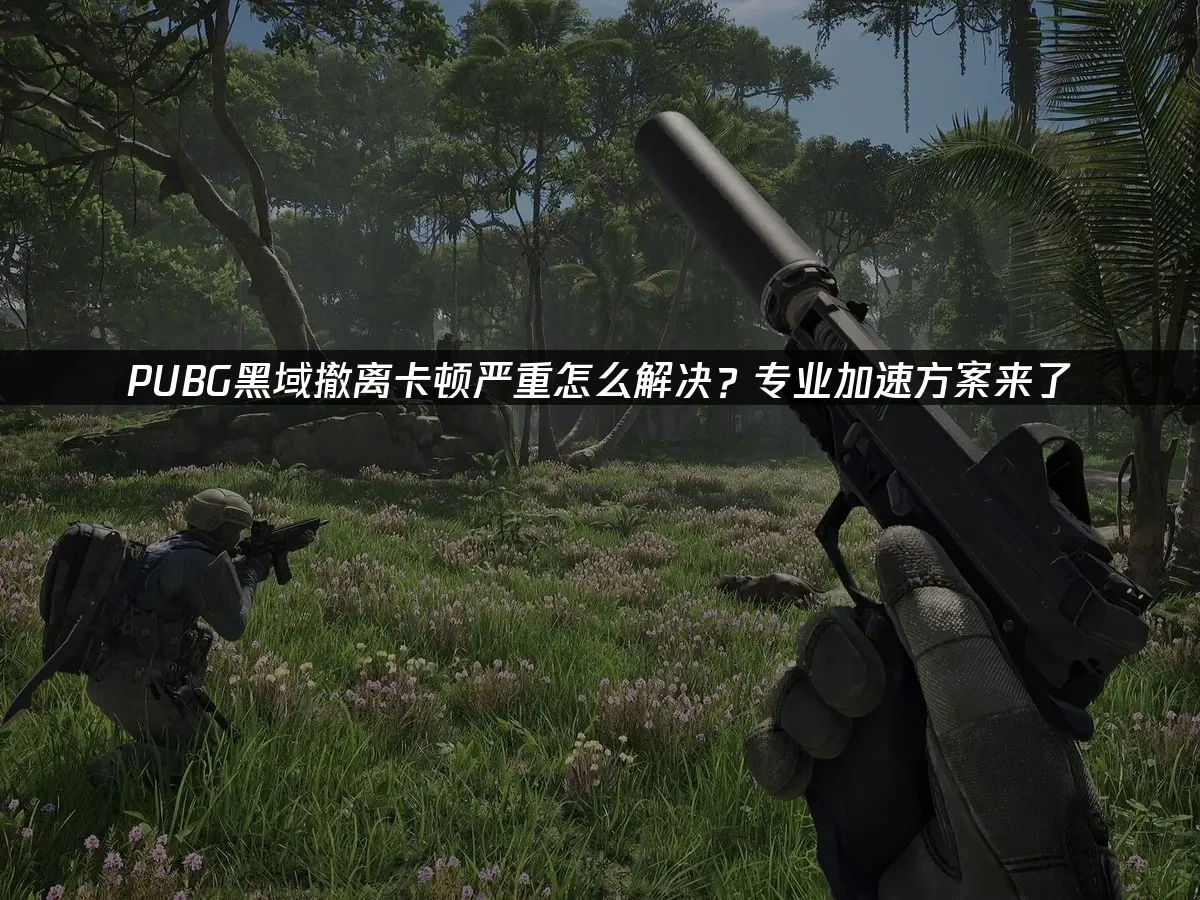 PUBG黑域撤离 封面图