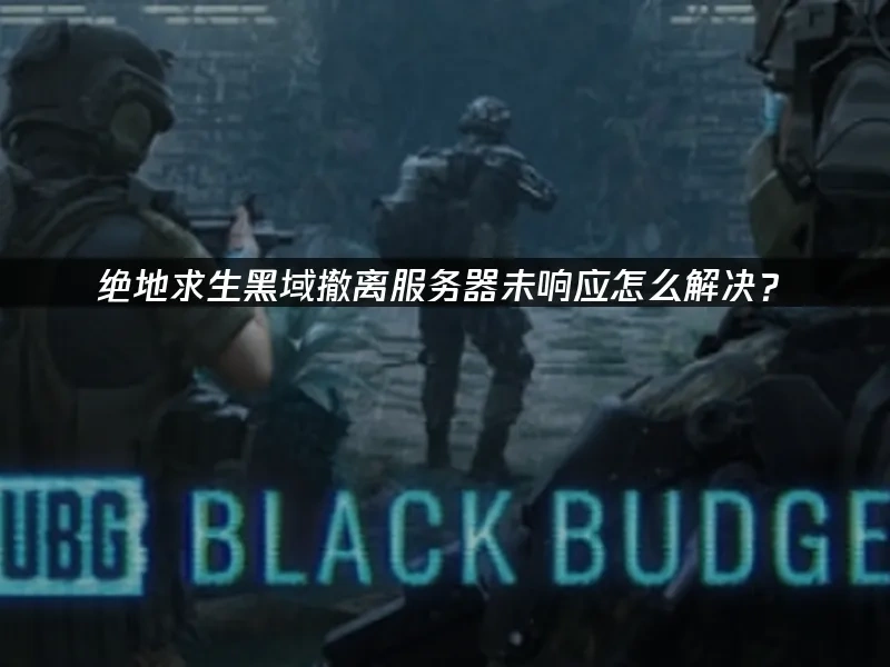 绝地求生黑域撤离 封面图