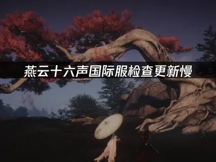 燕云十六声手游国际服如何提升检查更新速度？网络全攻略！