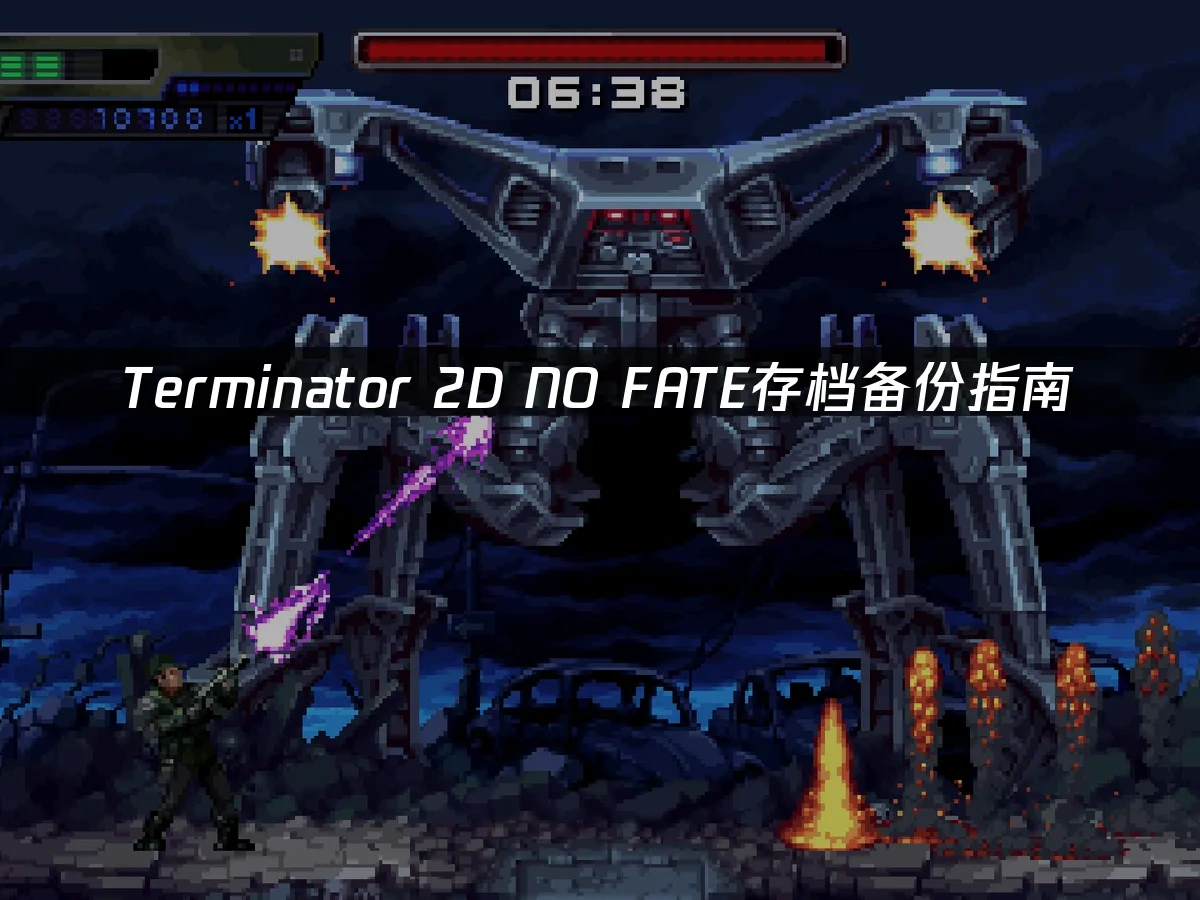 Terminator 2D NO FATE 封面图