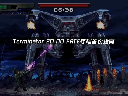 Terminator 2D NO FATE存档如何备份？
