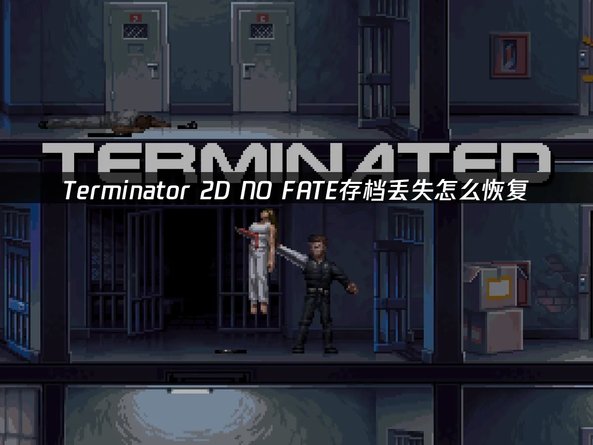 Terminator 2D NO FATE 封面圖