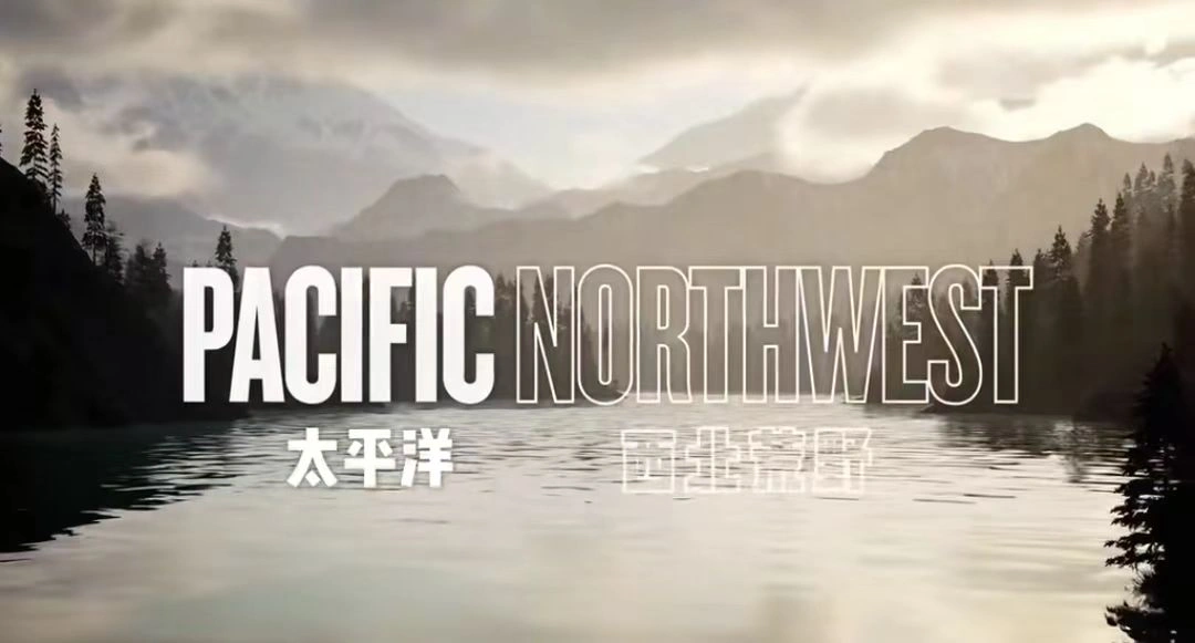 The Gold River Project