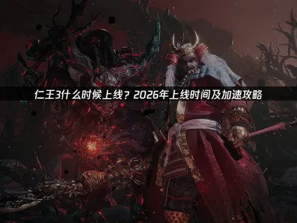 仁王3什么时候上线及网络优化全攻略！