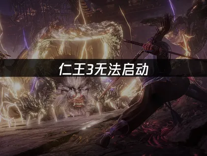 仁王3无法启动原因及网络优化解决方案详解！
