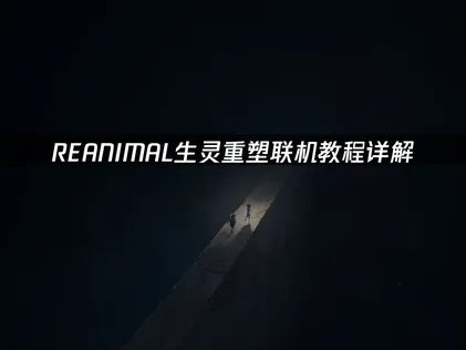 REANIMAL生靈重塑連線教學與網路優化攻略！