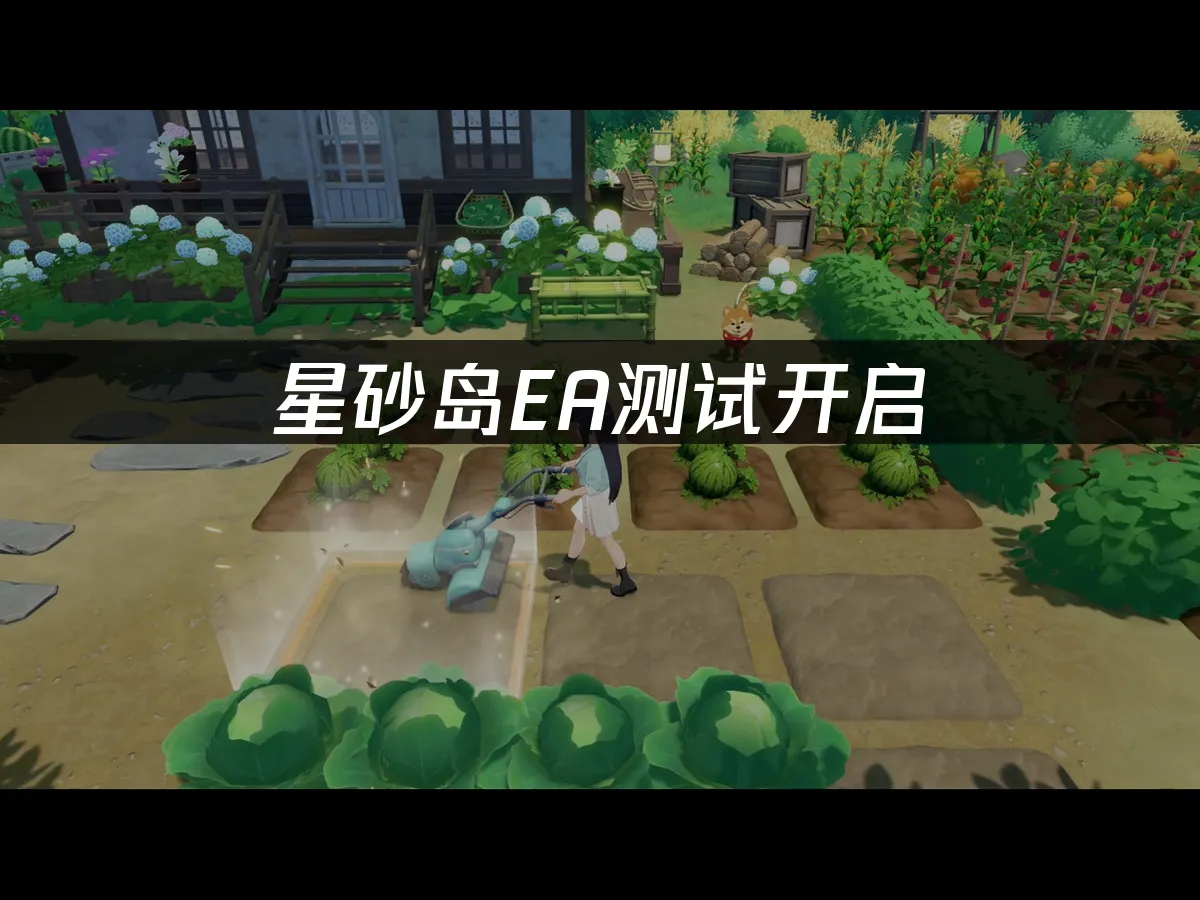 星砂岛 封面图
