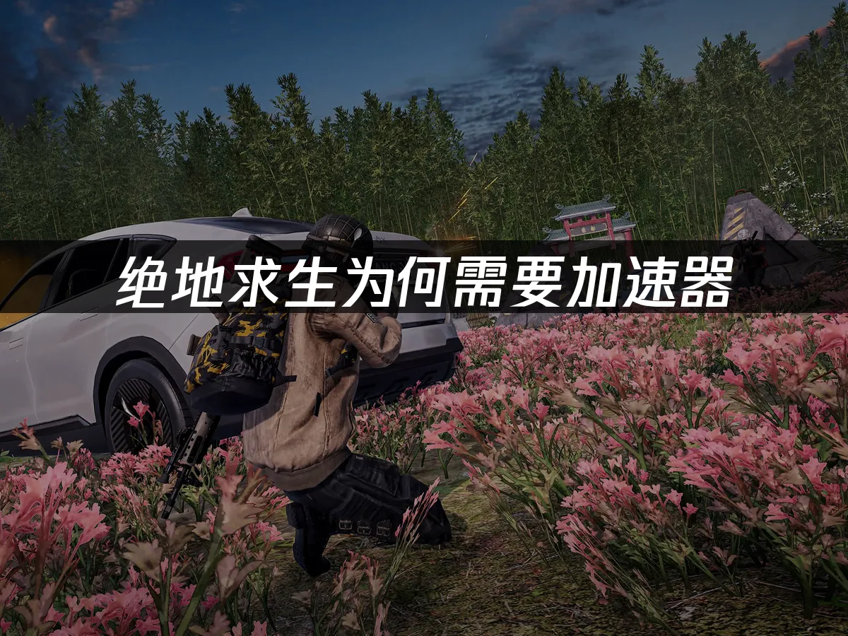 绝地求生 封面图