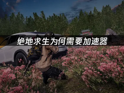 绝地求生加速器推荐：网络卡顿与延迟优化全攻略！