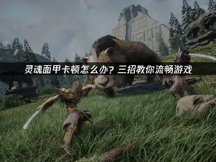 灵魂面甲卡顿与延迟优化全攻略！