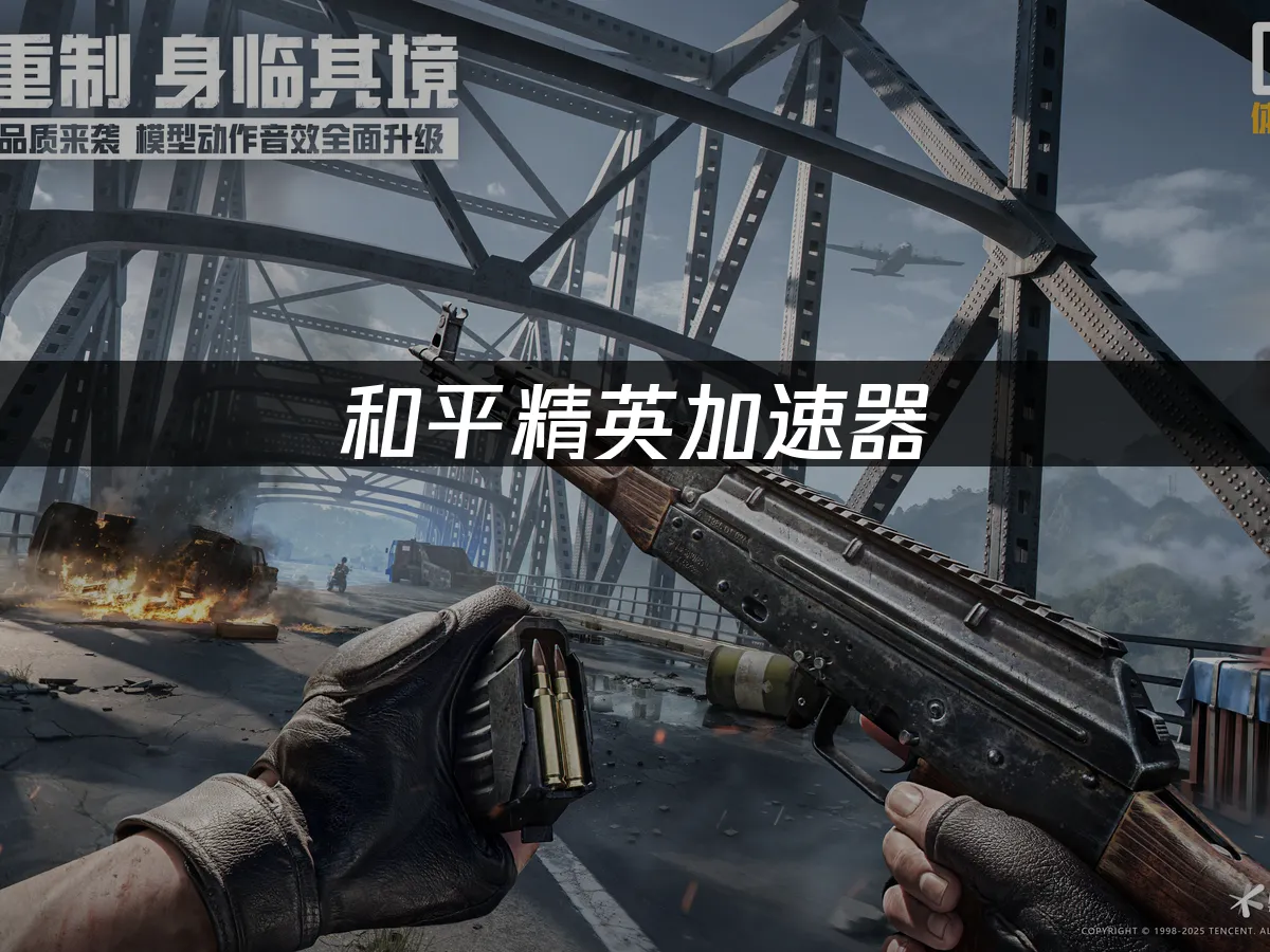 和平精英 封面图