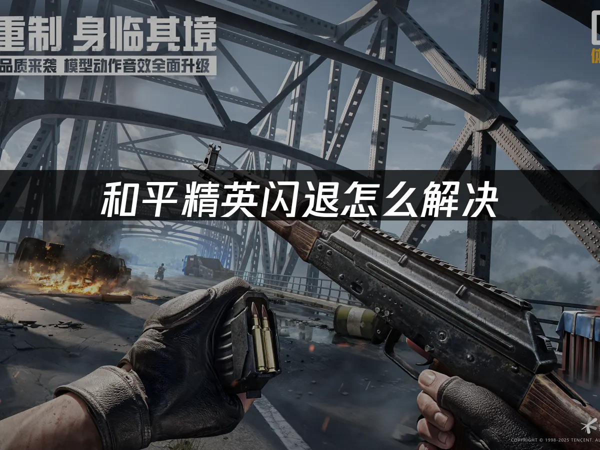 和平精英 封面图