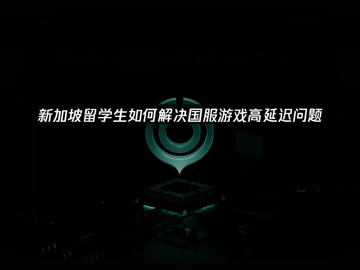 海外华人加速器 封面图