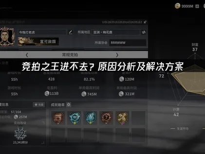 竞拍之王进不去？全面诊断与高效修复指南！