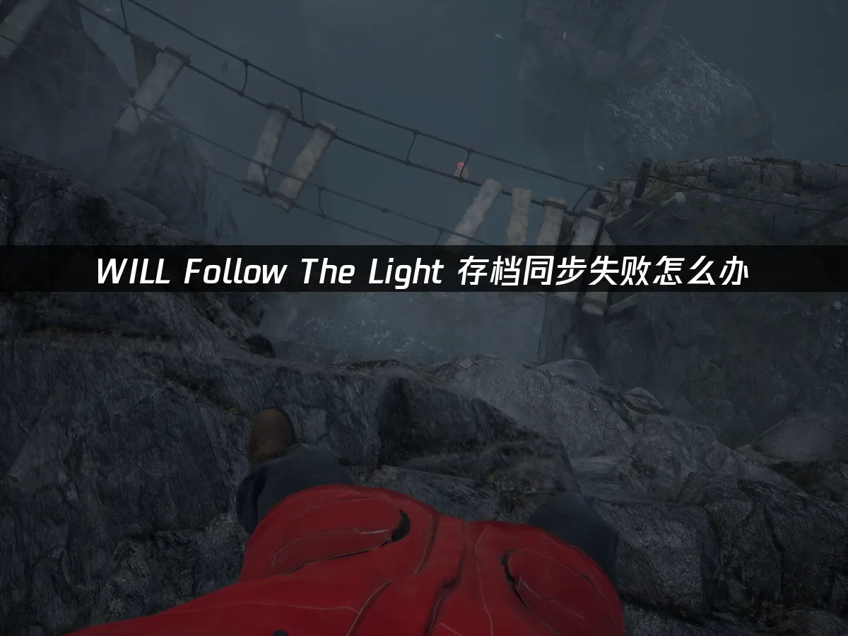 WILL Follow The Light 封面图
