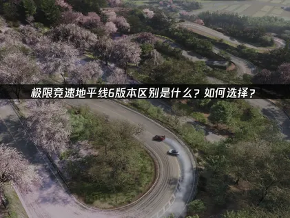 极限竞速地平线6版本区别及网络优化详解！