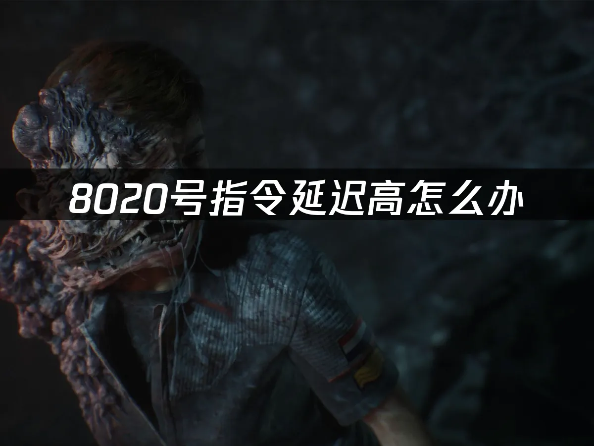 8020号指令 封面图