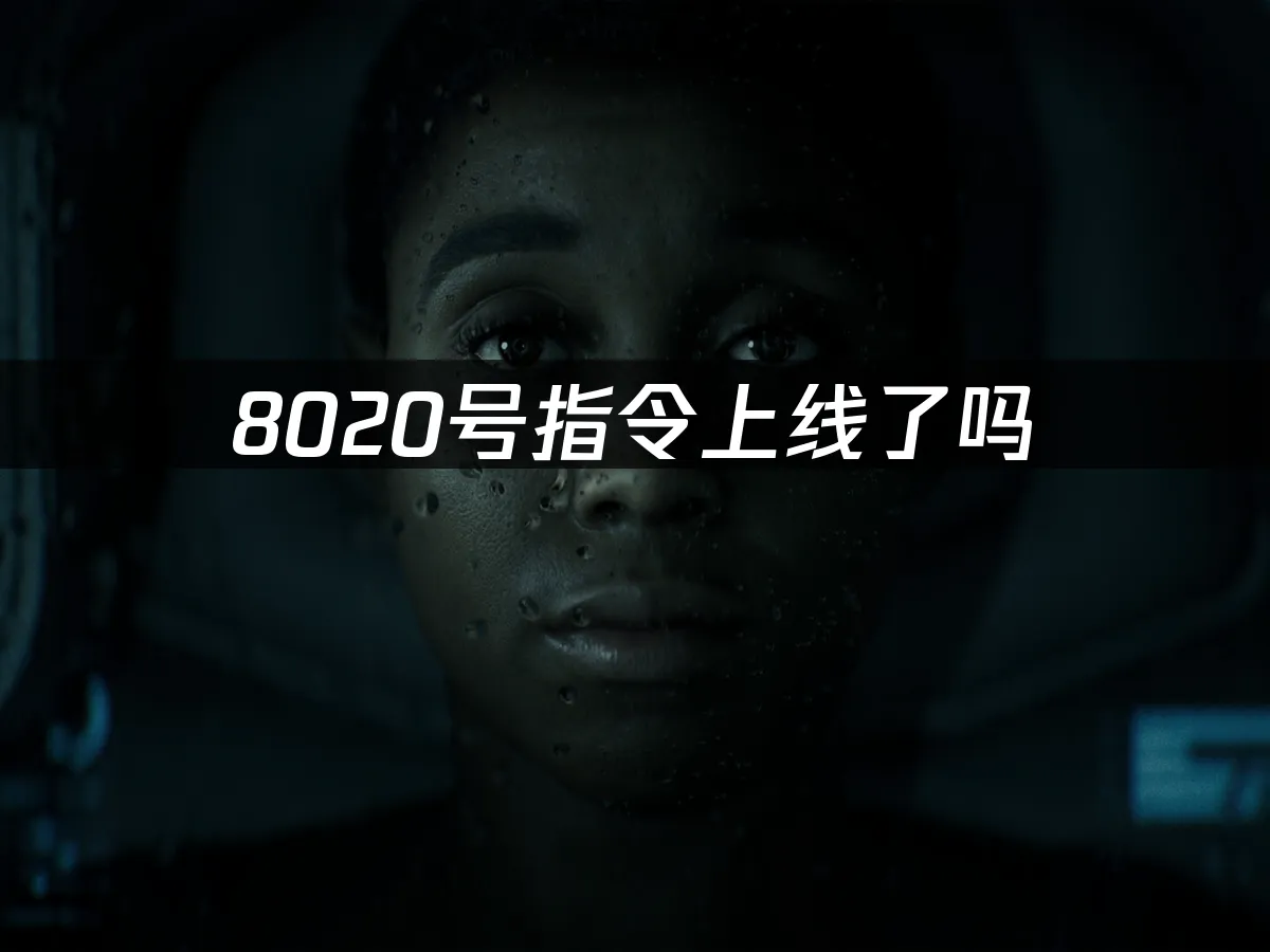 8020号指令 封面图