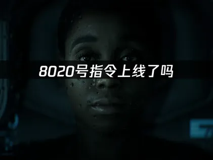 8020号指令上线，畅玩指南与网络优化全解析！