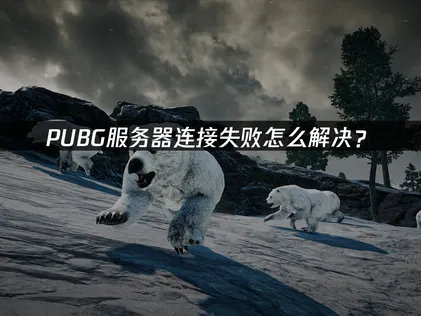PUBG服务器连接失败原因解析与高效解决方案！