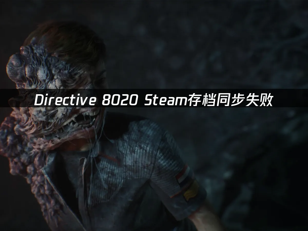 Directive 8020 封面图