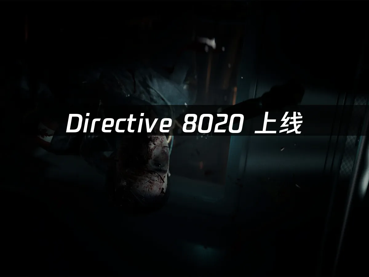 Directive 8020 封面圖
