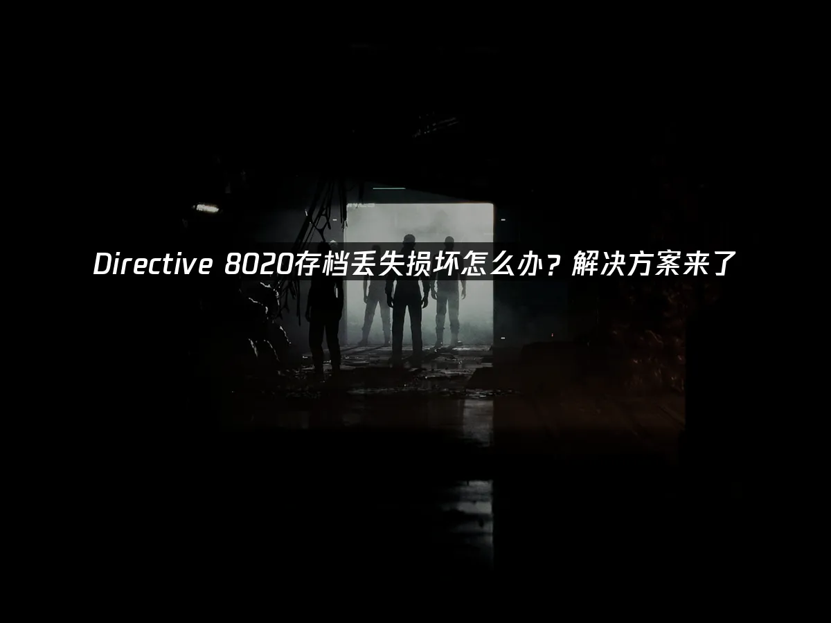 Directive 8020 封面图