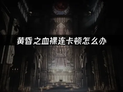 黃昏之血直連卡頓徹底攻略！