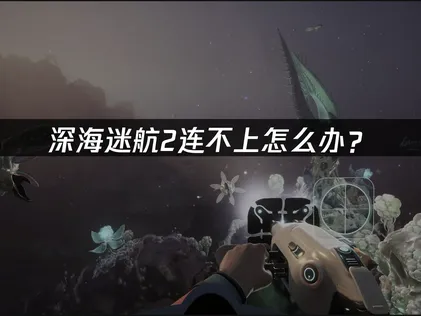 深海迷航2连不上怎么办？网络优化与排查全攻略！
