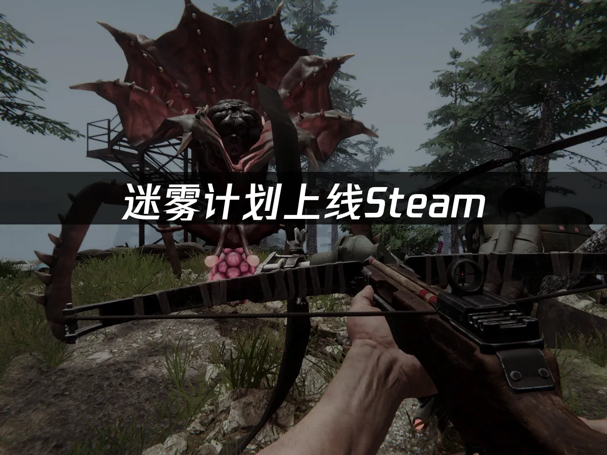 迷雾计划 封面图