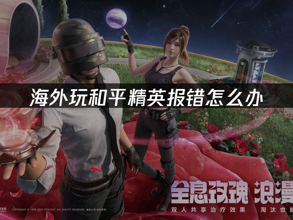 和平精英 封面图