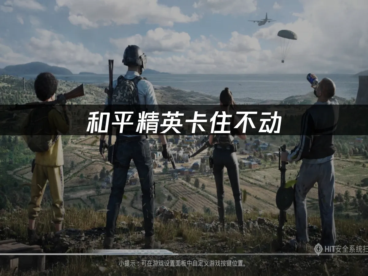 和平精英 封面图